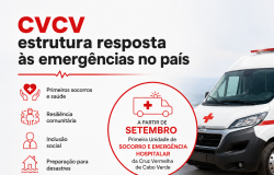 CVCV estrutura resposta às emergências no país